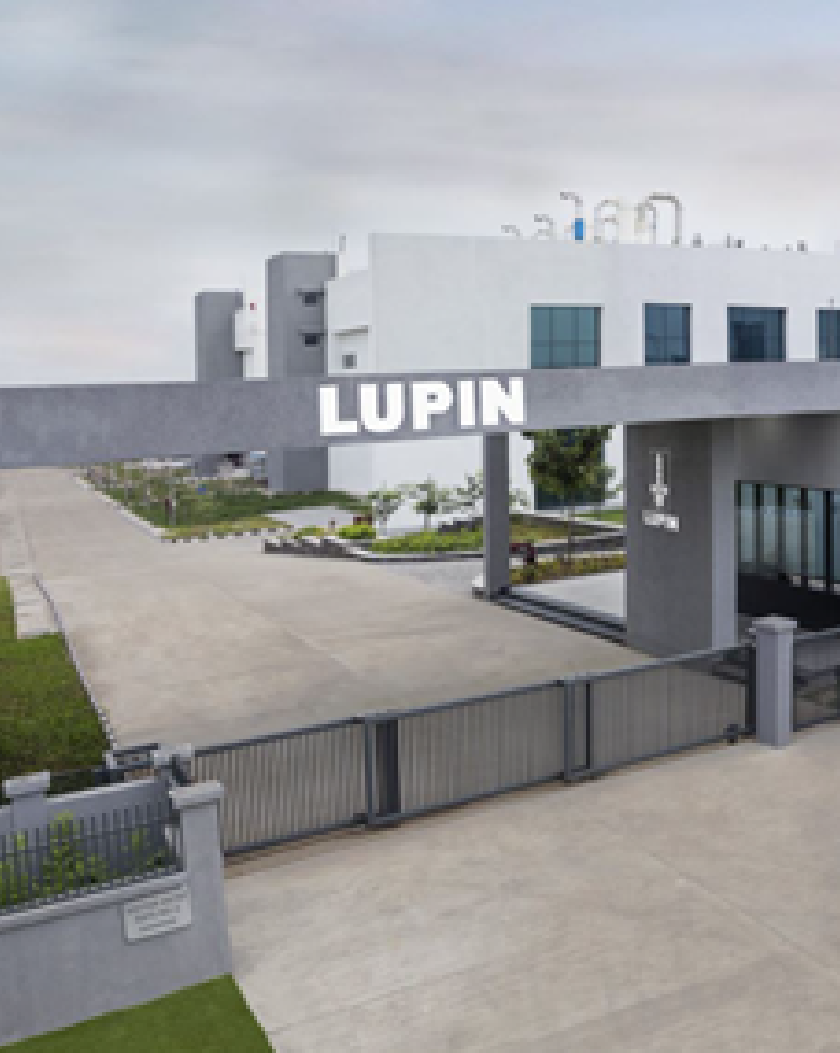 icn_lupin_image3